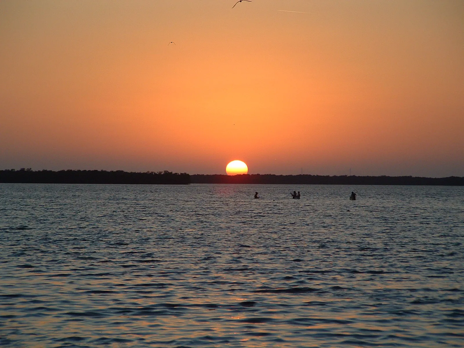 Orange sunset over calm water at Cockroach Bay, with a dark tree line along the far shore