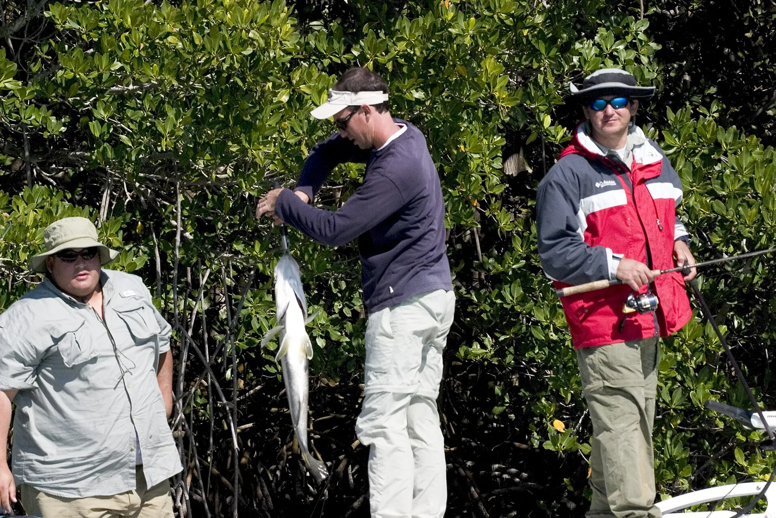 Three anglers in hats and long sleeves holding a fish beside mangroves