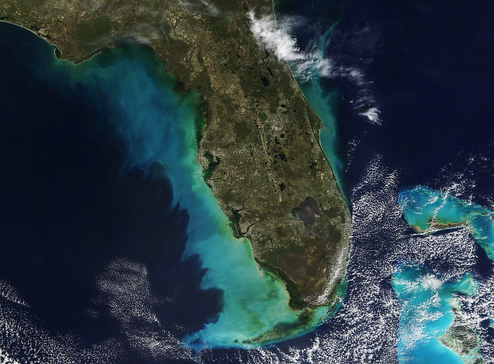 Satellite view of Florida with bright colored water along the Gulf coast
