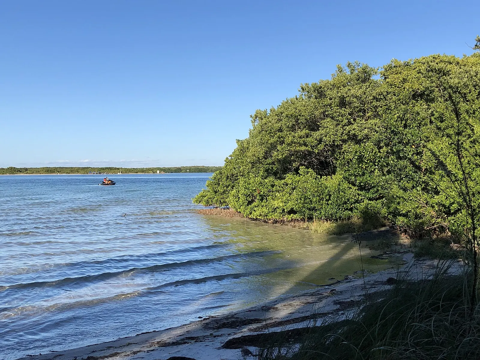 Calm water and mangroves at North Beach, Fort De Soto Park