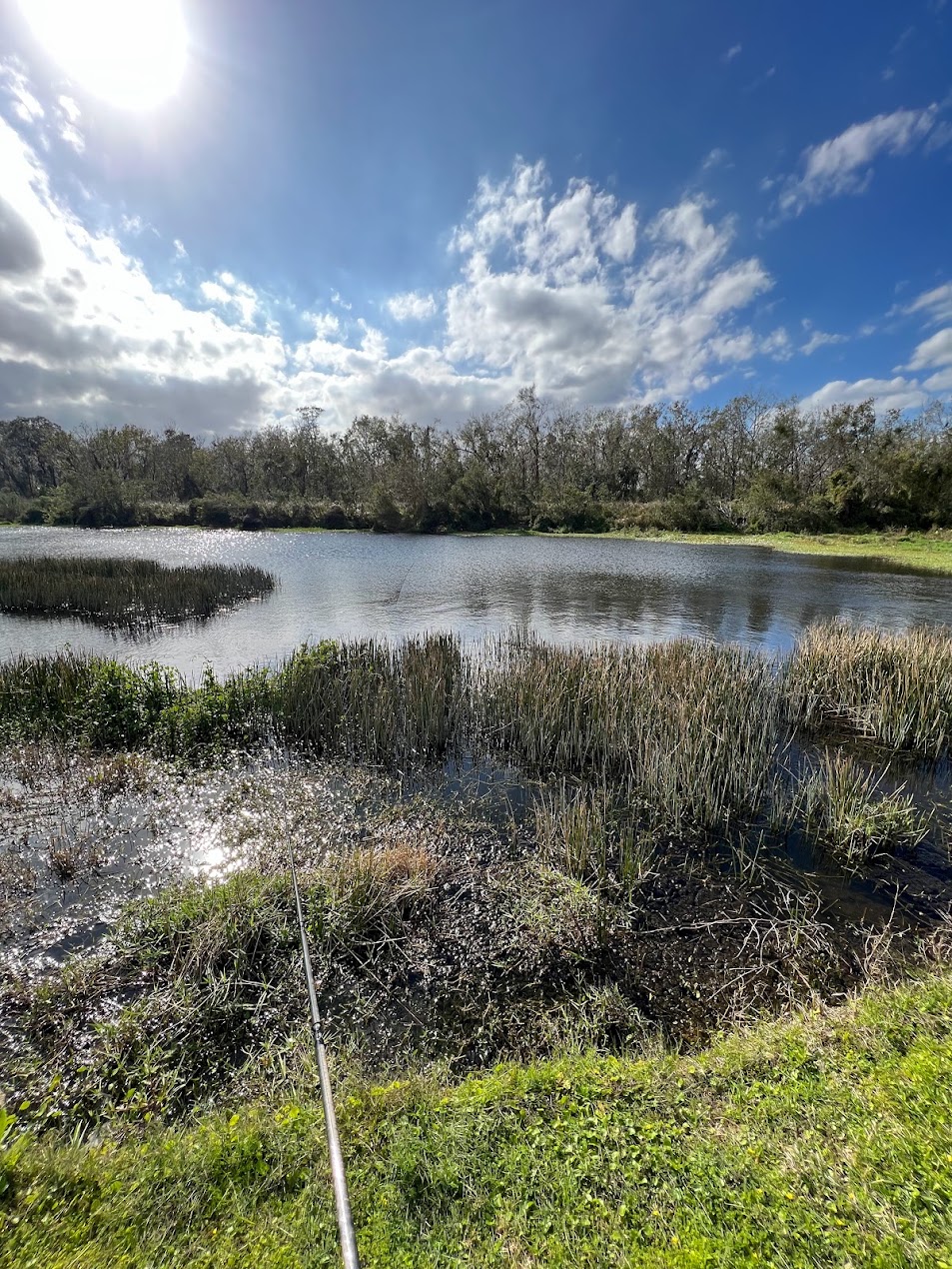 Marsh pond under a big Florida sky with a fishing rod in the foreground
